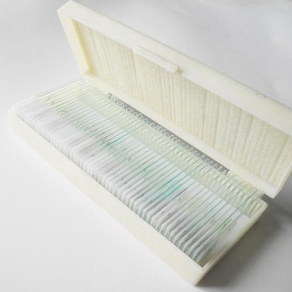 Fixed Set 50 Kinds Human Pathology Microscope Prepared Slides for Educational Supplies