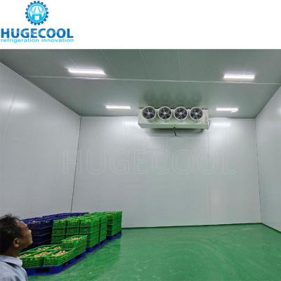 Customized Ice Cold Room Suitable For Supermarket Walk In Cooler