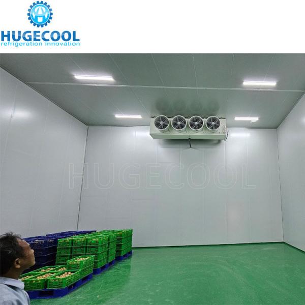 Painel de sanduíche de PU Armazenamento frigorífico frigorífico para vegetais e frutas