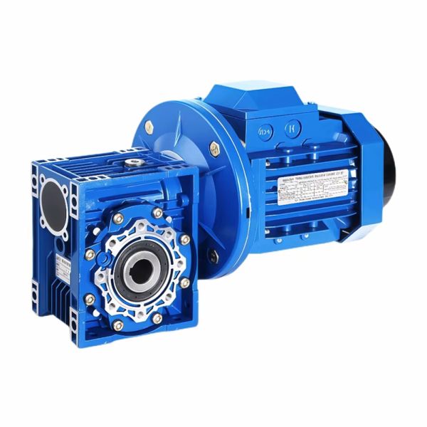 Custom 1.1 kW Single-Stage Reduction RV Series Worm Gearbox Motor Reducer with Helical Gears for Industrial Machinery