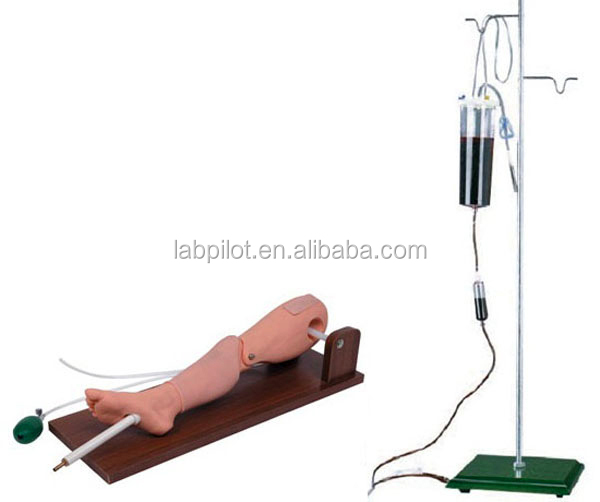Convenient Child Bone Marrow Puncture and Femoral Venipuncture Simulator for Training