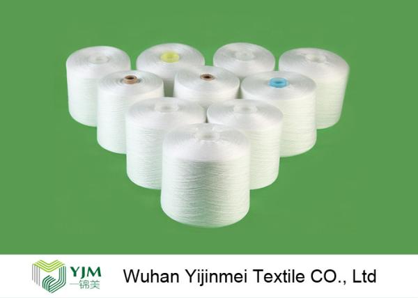 40s /2 50s /2 60s /2 Double Twist Raw White Staple Fiber 100% Polyester Yarn for Sewing Thread