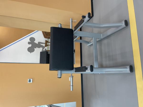 High Quality Arm Curl Bench Hot Wholesale Gym Equipment for Biceps Curl Pin Load Selection Machines