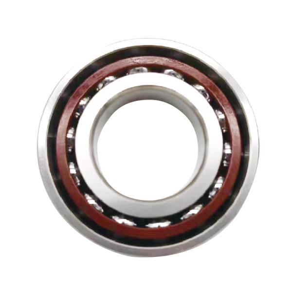 7216BTN 7217BM 7218BM 7219BM 7220BM Angular Contact Ball Bearings for Heavy Loading Duty