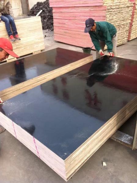 Shandong Linyi Film Faced Plywood Marine Plywood Construction Plywood