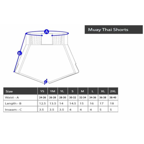 Durable Quick Dry Light Weight Muay Thai Shorts For MMA And Boxing Training