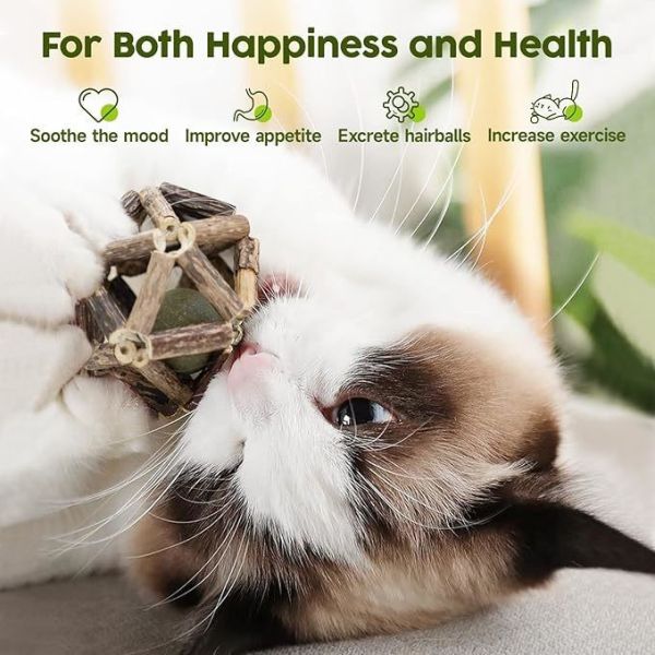 Silvervine Cat Toy for Self Play and Teeth Cleaning Made from Natural Polygonum Arboreum