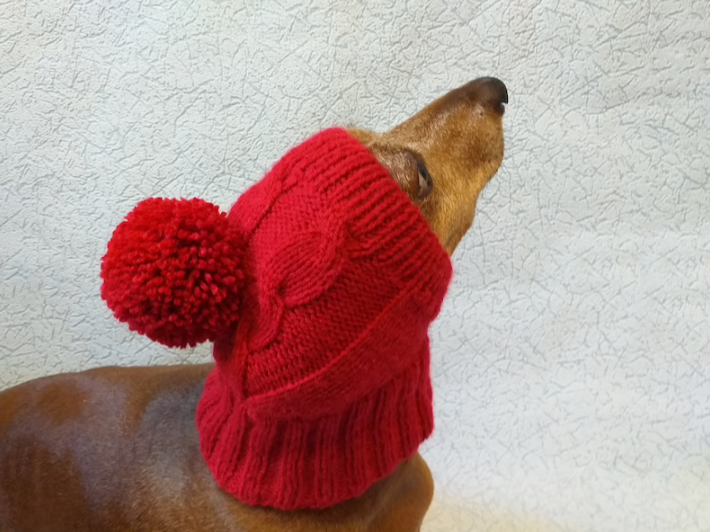 Y-Z Dog Hat with Big Pompom Knitted Dachshund Hat with Big Pompom Clothes Dachshunds