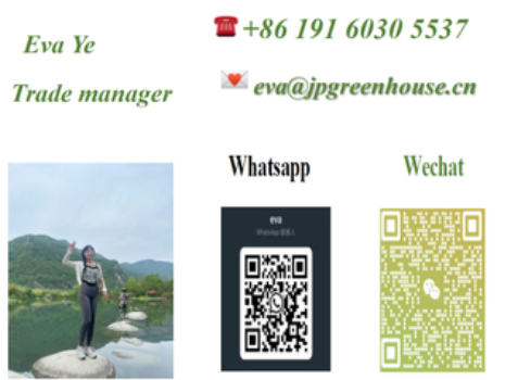 8m Wide PEP Film Automated Light Deprivation Greenhouse Top And Sides Ventilation