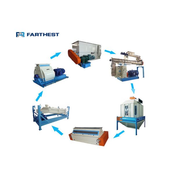 43.5kw Chicken Feed Pellet Mill Plant With Famous Brand Motor