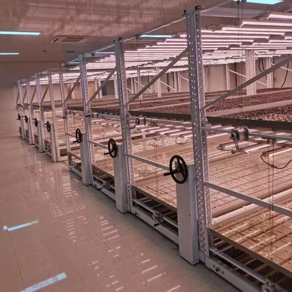 Bancos de rolamento com 4 rodas e fechadura de rodas