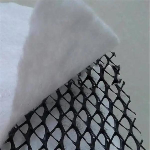 Drainage Engineering Design Style Geocomposite Drainage Mat for Drainage Protection