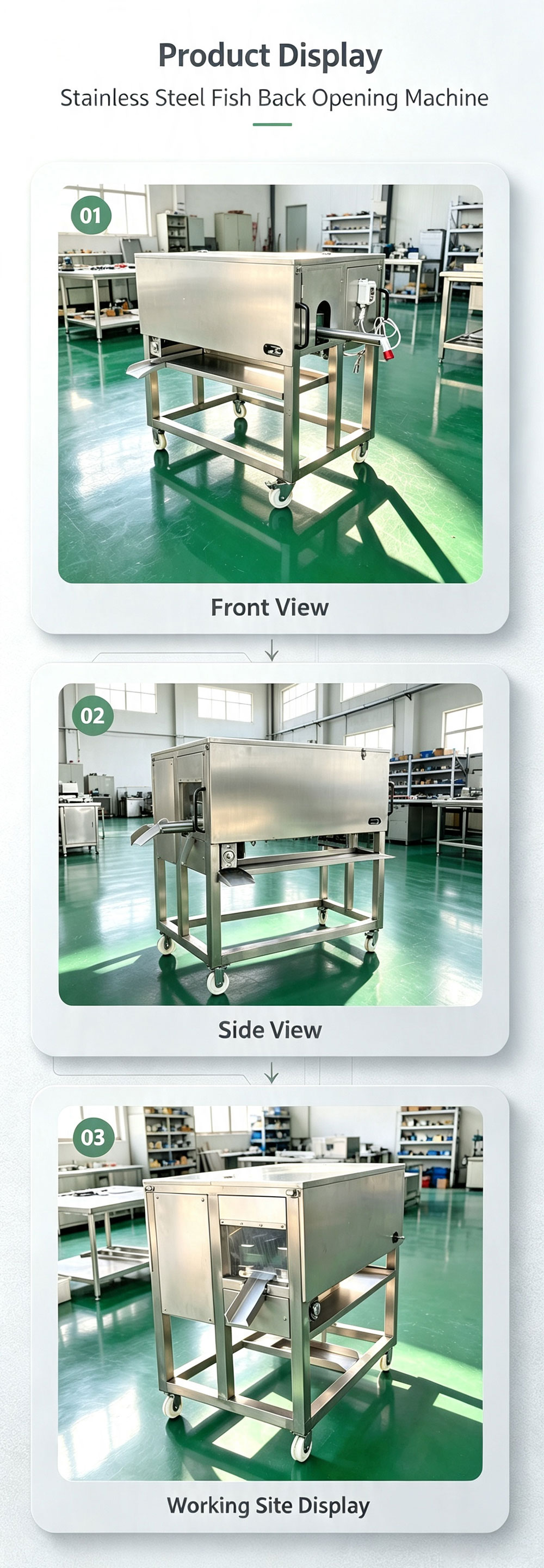 Mobile Fish Back Cutting Machine for Mixed Freshwater & Sea Fish Catering Seafood Processing Shop