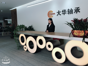 High Accuracy Deep Groove Ball Bearing Front Wheel Hub Bearing Customized