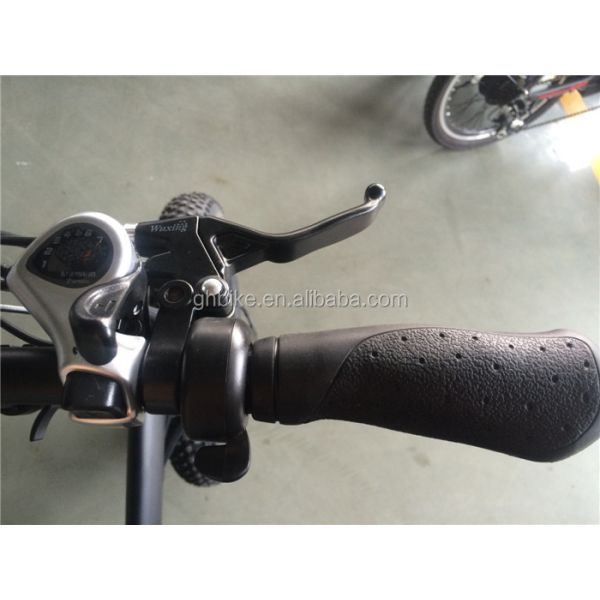 Advanced Disc Brake Folding Fat Tire E-Bike 20 4.0 Electric Bicycle with 23kg Weight