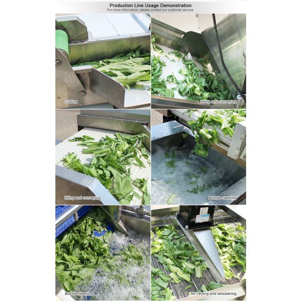 Orange Potato Onions Ginger Potato Carrot Taro Sweet potato Yam Saiko persimmon papaya horseshoe 2025 Fruit and vegetable cutting, cleaning and air-drying production line