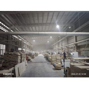 Qingdao U+ Health Technology Co., Ltd.