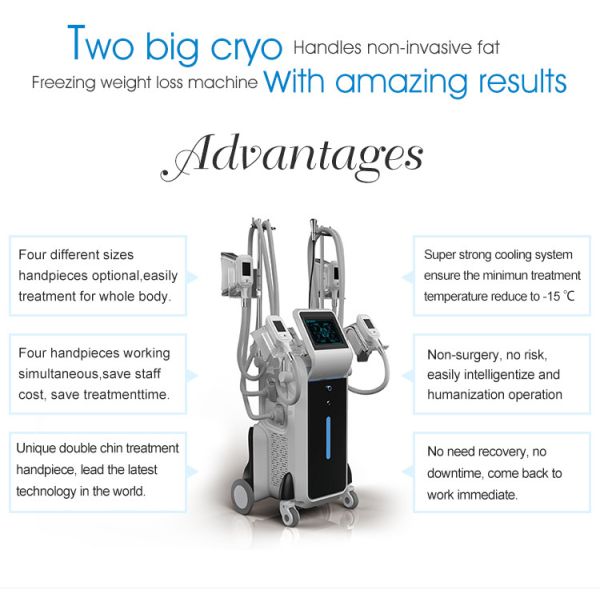 2019  LaSTEst spa or clinic  use permanent cellulite cold body sculpting cryolipolysis fat freezing machine home device