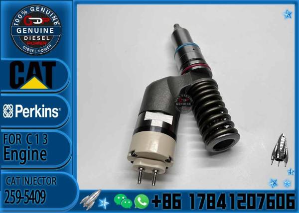 Fuel Injector Assembly 259-5409 10R-2977 10R-6162 20R-2437 212-3462 10R-0961 212-3463 For CAT Engine C13 Series