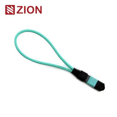 12 Fibers MTP OM3 Fiber Optic Loopback Module /Cable