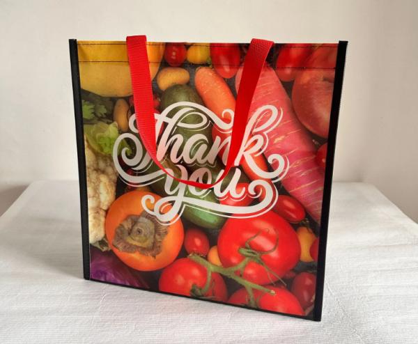 Eco Friendly Recycle Reusable Non-Woven Bag Pp Laminated Non Woven Grocery Bag Fabric Shopping Bags For Shop