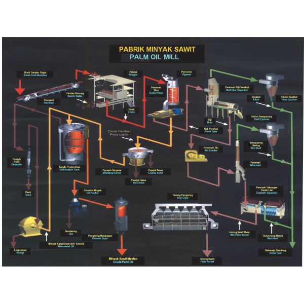 Dehulling масло завода Pretreatment пищевого масла отжимая высокую эффективность машинного оборудования