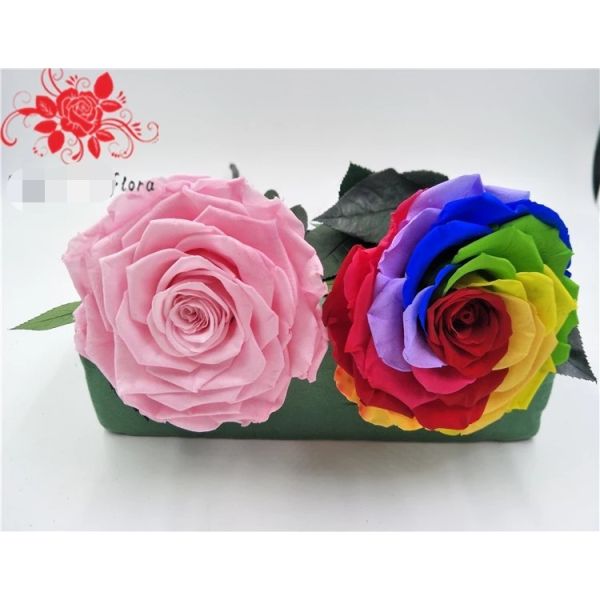 10cm Preserved Flower Rose with Stem Long 30cm Real natural fresh roses