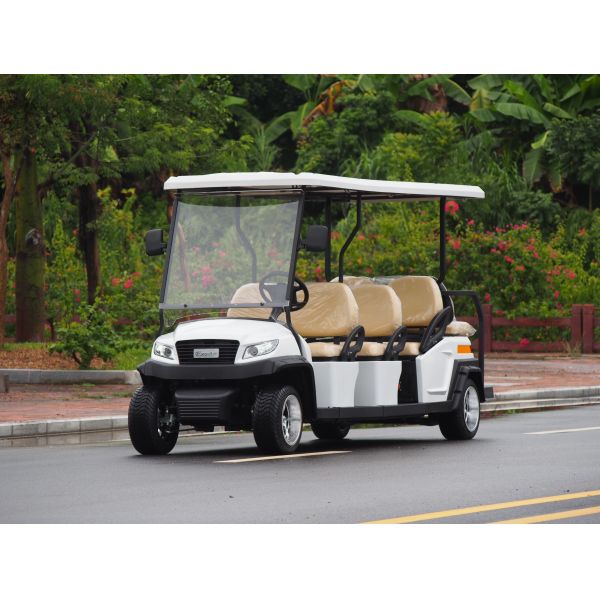 Safe & Strong Electric Golf Cart 6 front Seats & 2 back seats 5KW Motor 48V Lithium Battery carried CURTIS AC Control System48V/400A