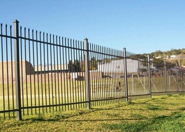 Free Standing Metal Palisade Fencing Decorated For Buildings / Courtyard 100x55mm Post
