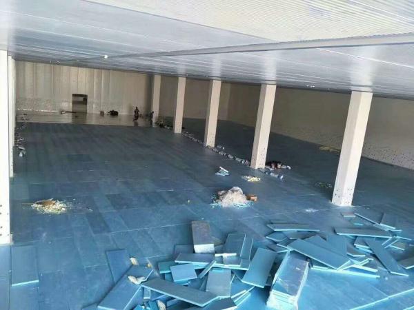 220V / promenade 380V commerciale dans une chambre plus froide pour les fruits de mer végétaux de viande