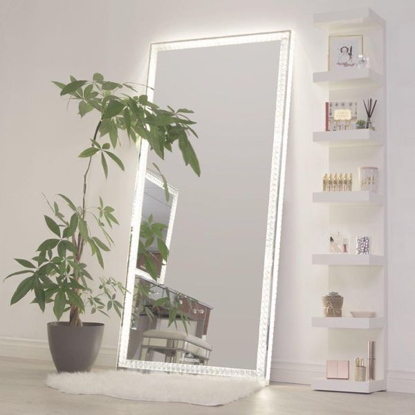 Led Light Up Full Length Floor Mirror For Bedroom Salon Vanity Crystals