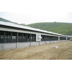 Prefab Steel Structure Poultry House Customized Size / Layout Prefabricated Chicken Houses