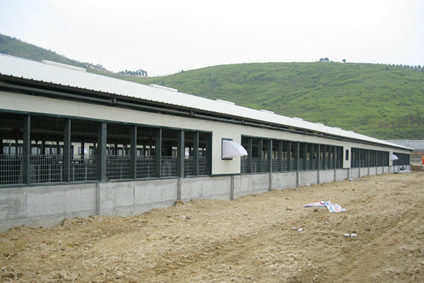 Prefab Steel Structure Poultry House Customized Size / Layout Prefabricated