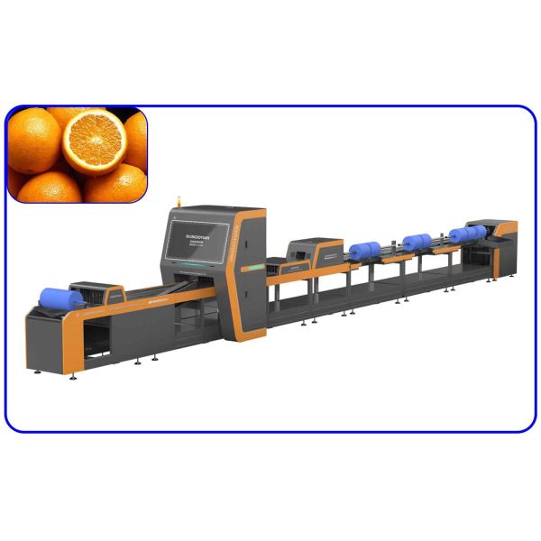 Intelligent Orange Grading Machine 380V Stainless Steel Visual Sorting Machine