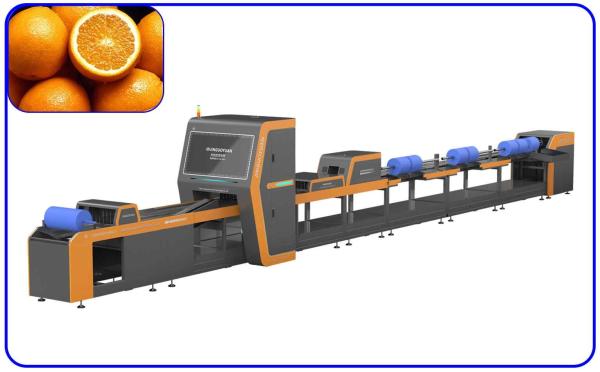 Intelligent Orange Grading Machine 380V Stainless Steel Visual Sorting Machine