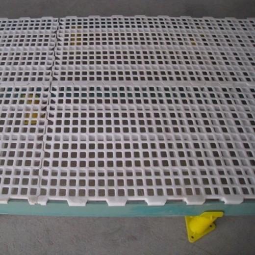 revestimento da veneziana de 25*20mm para aves domésticas