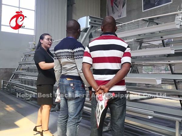 Frío automático de la jaula de las aves de corral de la batería galvanizado para poner pollos en iris del mercado de África
