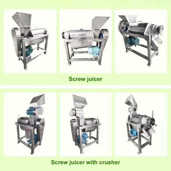 Custom 304 Stainless Steel Coconut Milk Spiral Industrial Fruit Apple Watermelon Pineapple Juicer Commercial Juicer Coconut Pulp Juicer