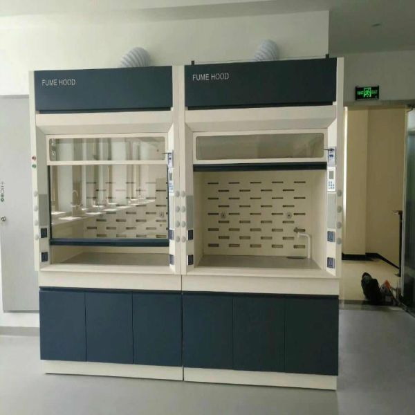 Certified Class II Biological Safety Cabinet Laminar Flow Cabinet for Organic Solvent