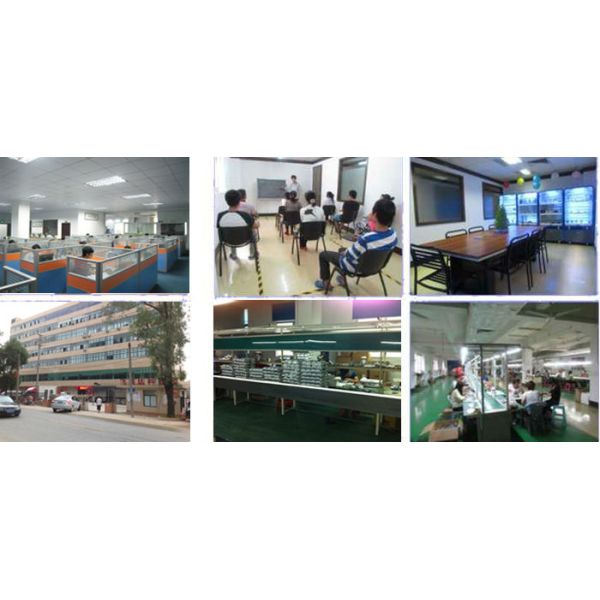 solar motion sensor wall light