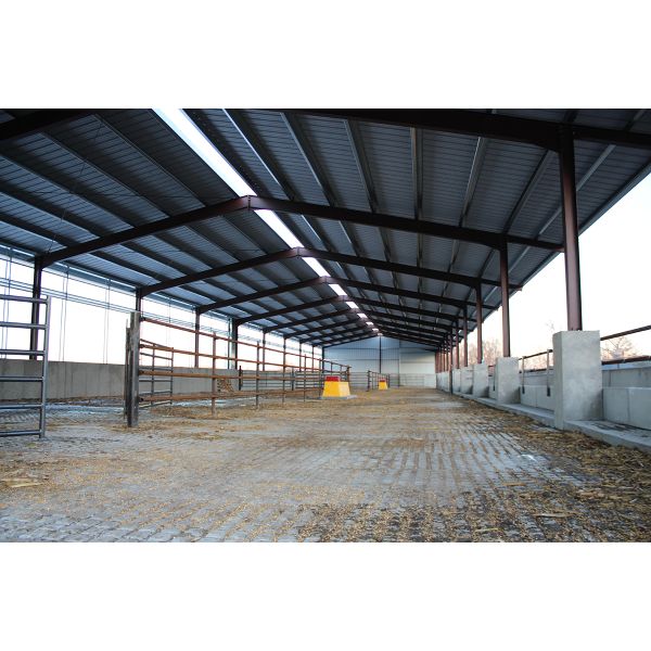 Open House Design Custom Steel Structure Prefab Cattle Farm Shed With Roof Ventilation