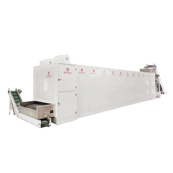 Konjac Slices Conveyor Belt Dryer System Large Output Odorless