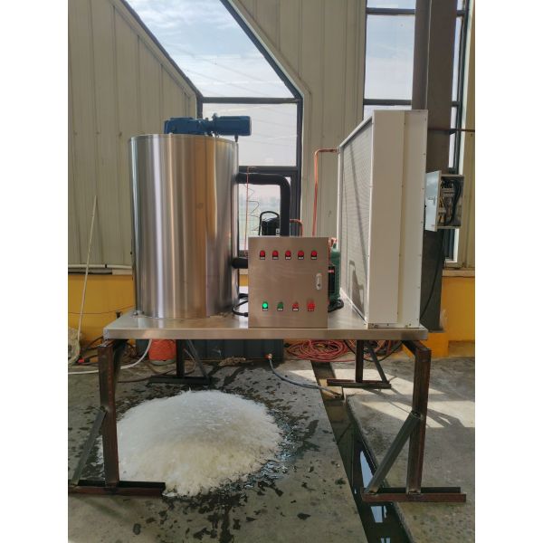 Ecoice 3Ton/Day Stainless Steel Best Commercial Flake Ice Making Machine for Seafood & Fishery
