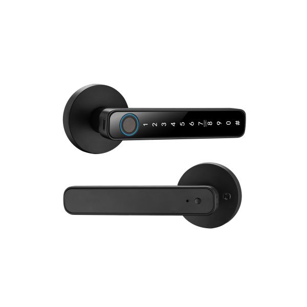 Qleung Smart Handle Lock S604N Fingerprint Password Card Key Unlocking Tuya Smart Home Lock