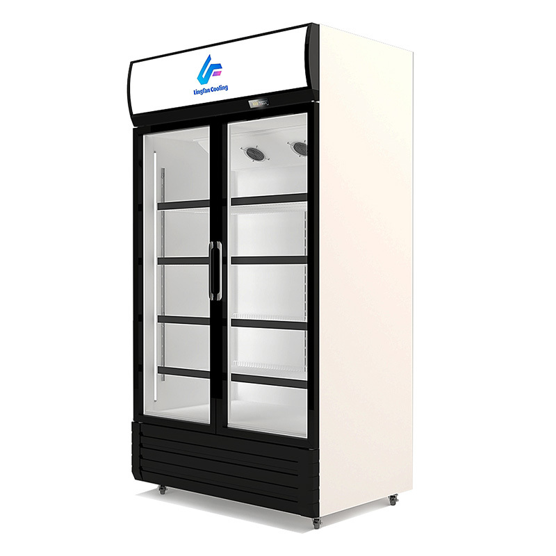530L Capacity Glass Door Freezer with Static Cooling and Swing Glass Doors for Supermarket Display