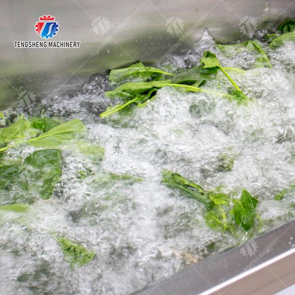 Fruit Orange Leaves Vegetables sward beans  Herbs Fruiting vegetables Wash Washer Washing Cleaning processing production Double cylinder fruit and vegetable washing machine