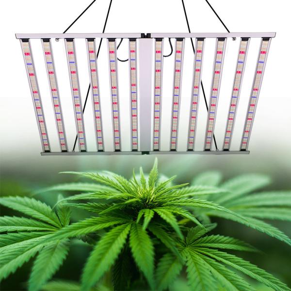 Hydroponic LED Grow Light Full Spectrum 4x6ft 1200W LED Grow Lights For Vertical Farming