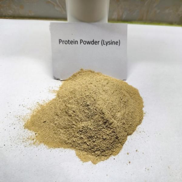 Probióticos Fermentação Proteína de aves de capoeira marrom em pó Proteína crua 75%