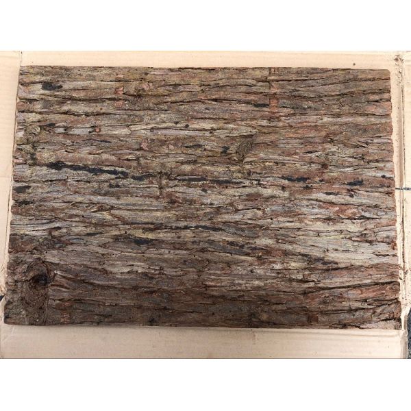 400*600mm Standard Size Frist-Layer Fir Bark tiles with Cork Back for Wall