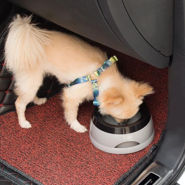 Peixes de estimação não deslizante carro de água de beber taça boca não molhada taça de cão e gato